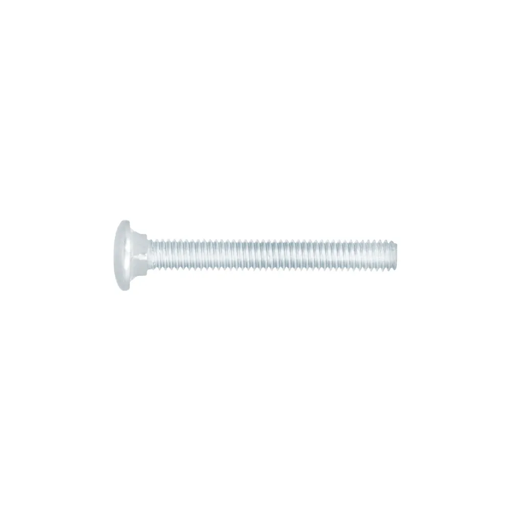 Bolsa con 60 tornillos 5/16" x 2-1/2" tipo coche, Fiero