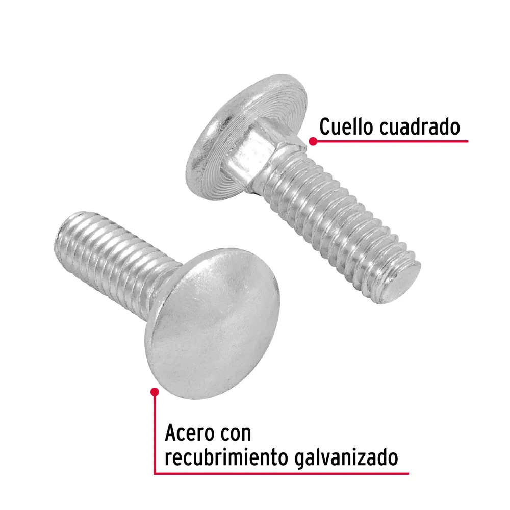 Bolsa con 60 tornillos 5/16" x 1" tipo coche, Fiero