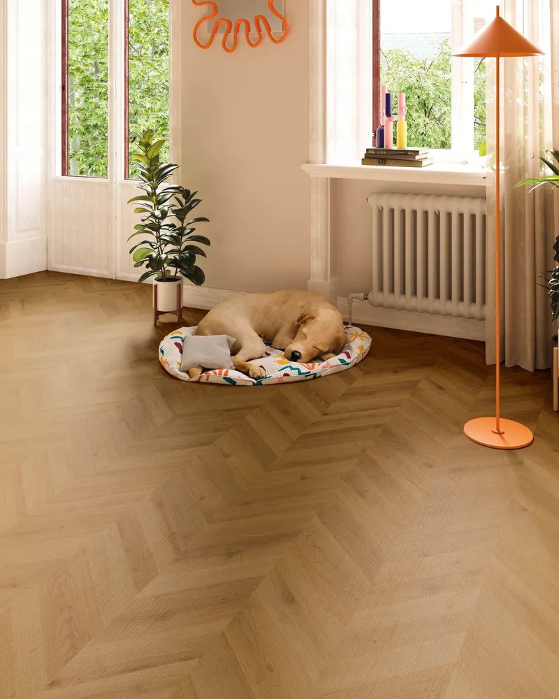 Suelo Laminado FINfloor Durable AC6 Espiga Dijon Finsa