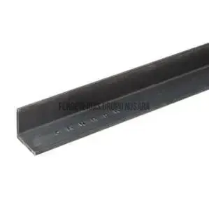 ANGULAR 2 1/2 X 1/4" 6MM LIBRE