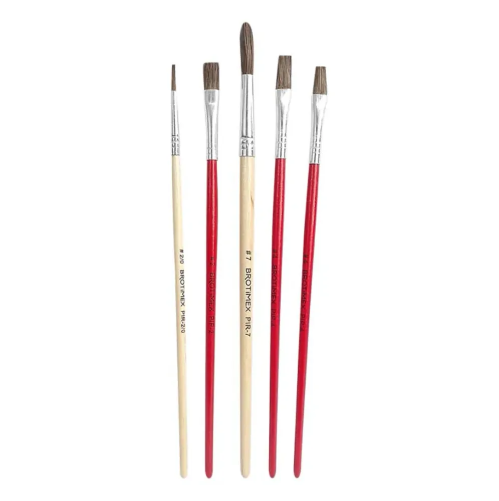KIT CON 5 PINCELES KPI-5 BROTIMEX My Store