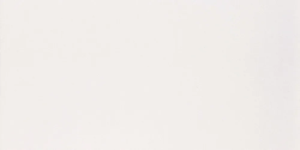 Revestimiento de Ceramica Brillante Rectificado 30x60 Branco - Pointer Classico