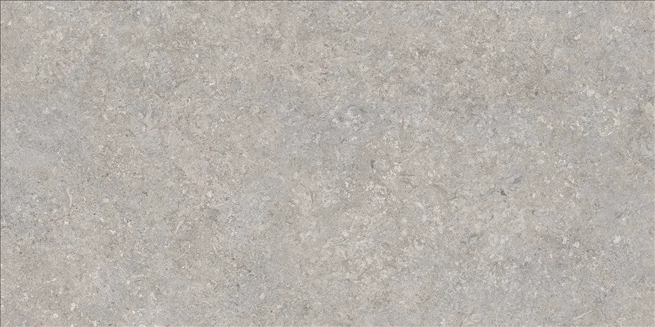 Porcelanato Esmaltado Mate Rectificado 60X120cm Grey - Vitacer Softstone