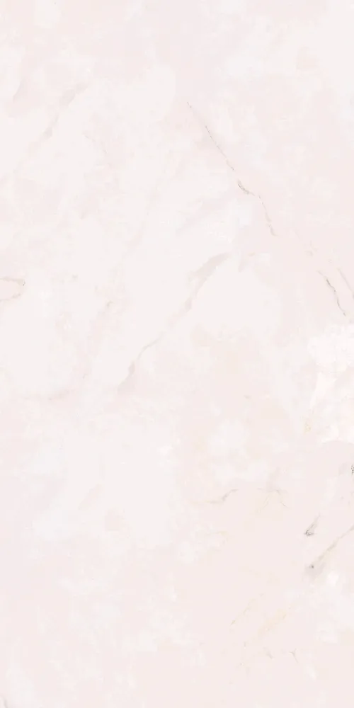 Piso Carrara Mt Bianco 50X100 Cm 2.0 M2/Caja Rectificado VITROMEX