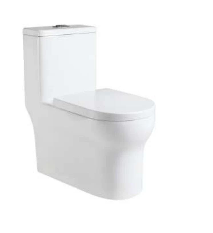 WC CERÁMICO BLANCO ECOLOGICO WS-WC19 WASSER