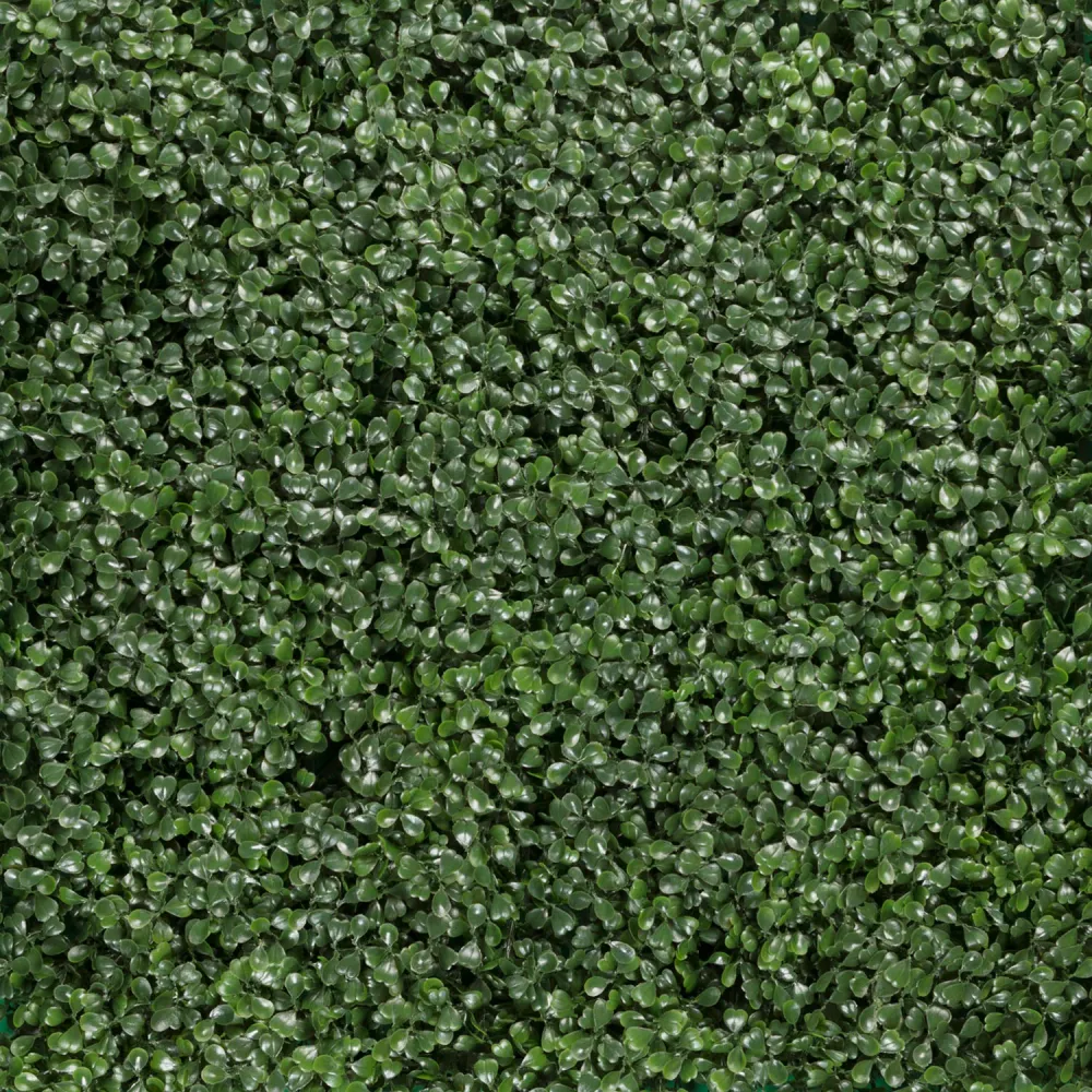 ARRAYAN NATURAL WPC FOLLAJE SINTETICO 500*500 mm (CAJAS 3 M2) 12 PZAS X CAJA SG-FSA001- TEKNO STEP ZUCASA® México